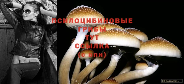 дживик Володарск