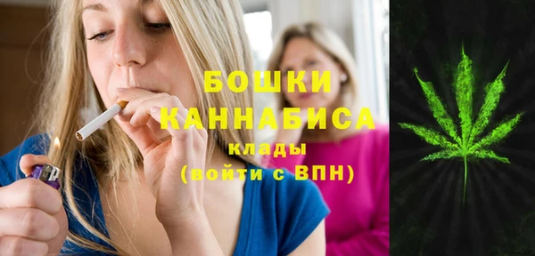 гашик Волосово