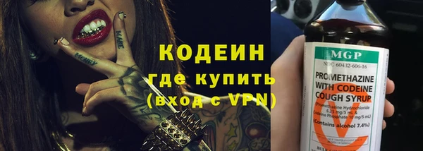 дживик Володарск