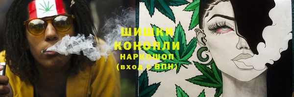 гашик Волосово
