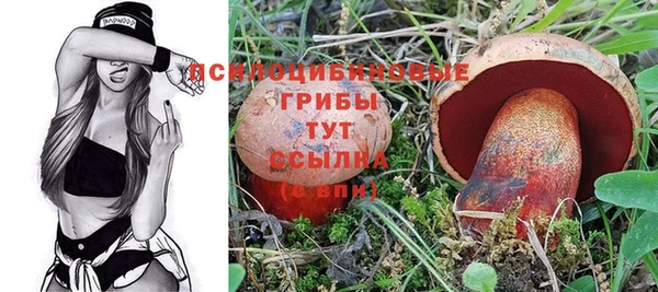 гашик Волосово