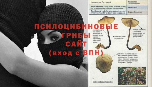 дживик Володарск