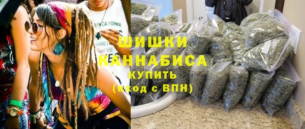 дживик Володарск