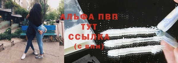 гашик Волосово