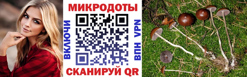 ссылка на мегу ссылка  Сыктывкар  Псилоцибиновые грибы мицелий 